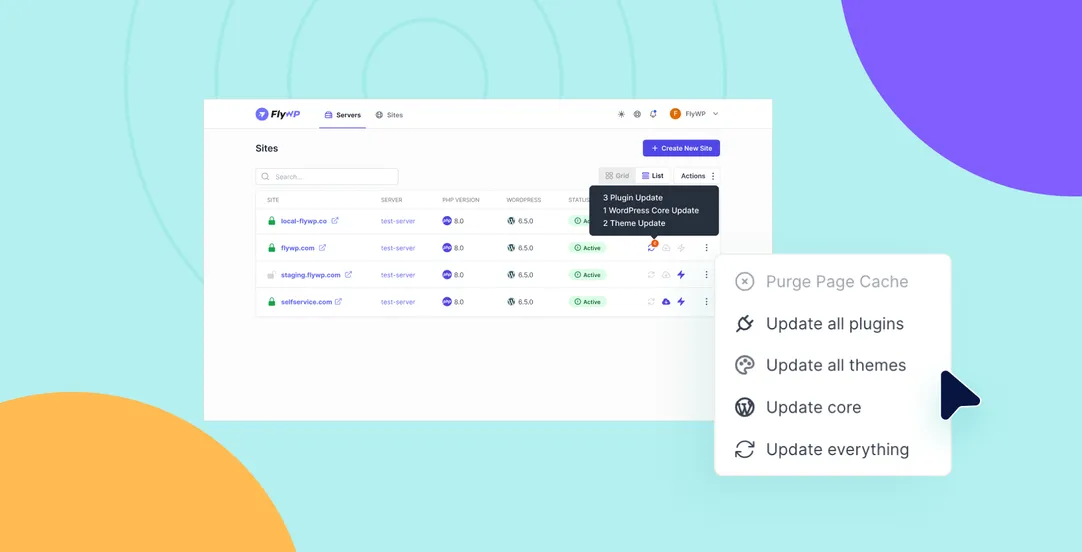 WordPress Bulk Update FlyWP