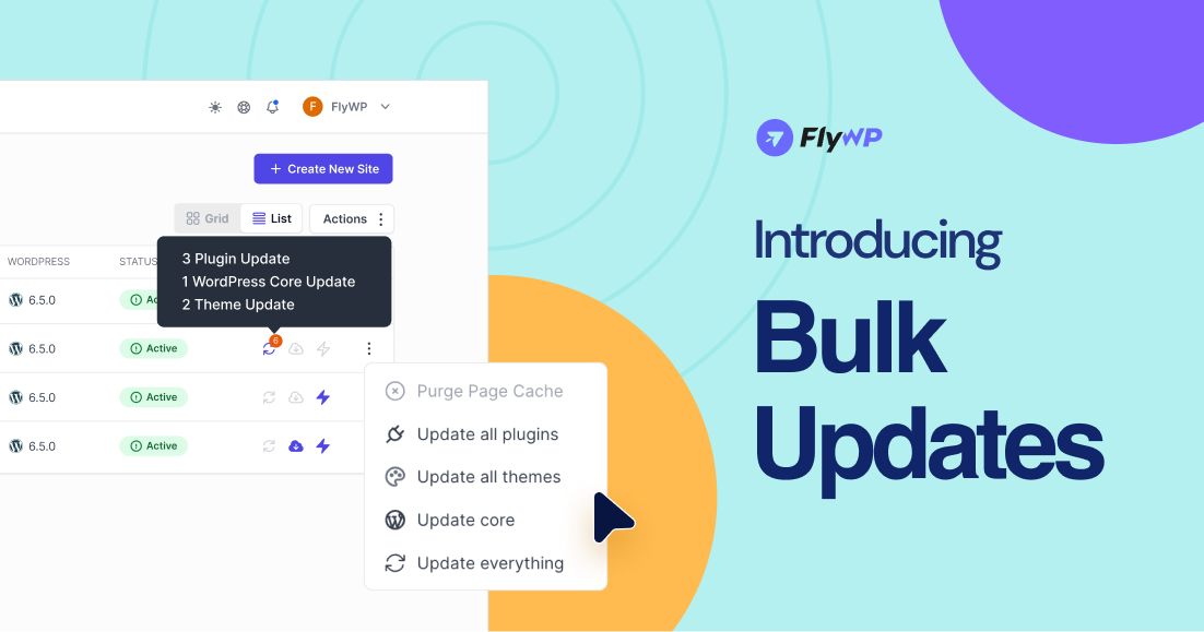 Introducing Bulk Updates On Flywp Updated 1