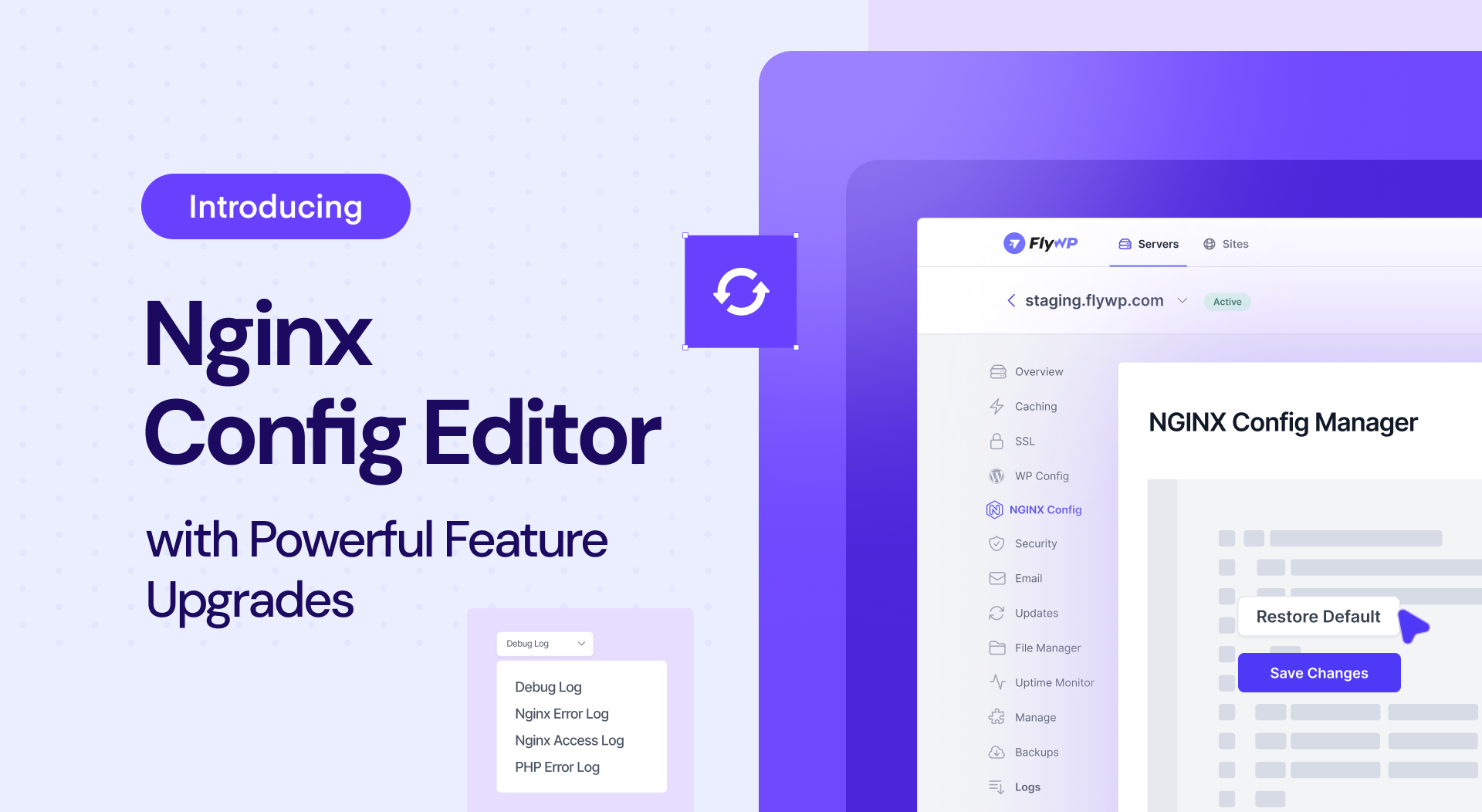 Introducing nginx config editor with powerful feature upgrades 2