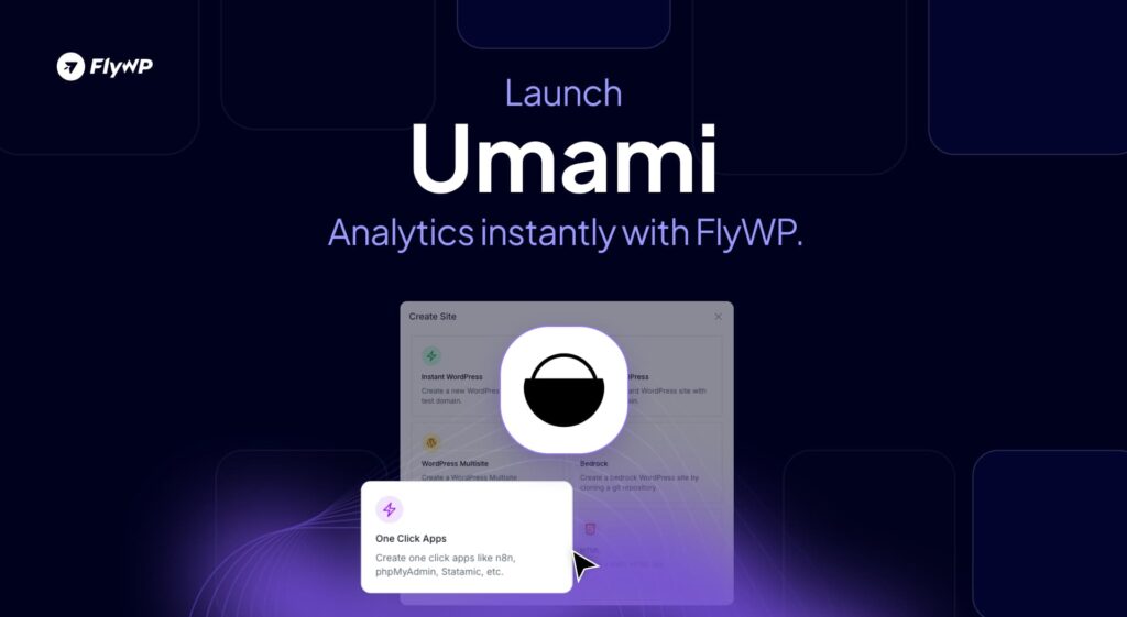 Launch Umami Analytics instantly with FlyWP. Email