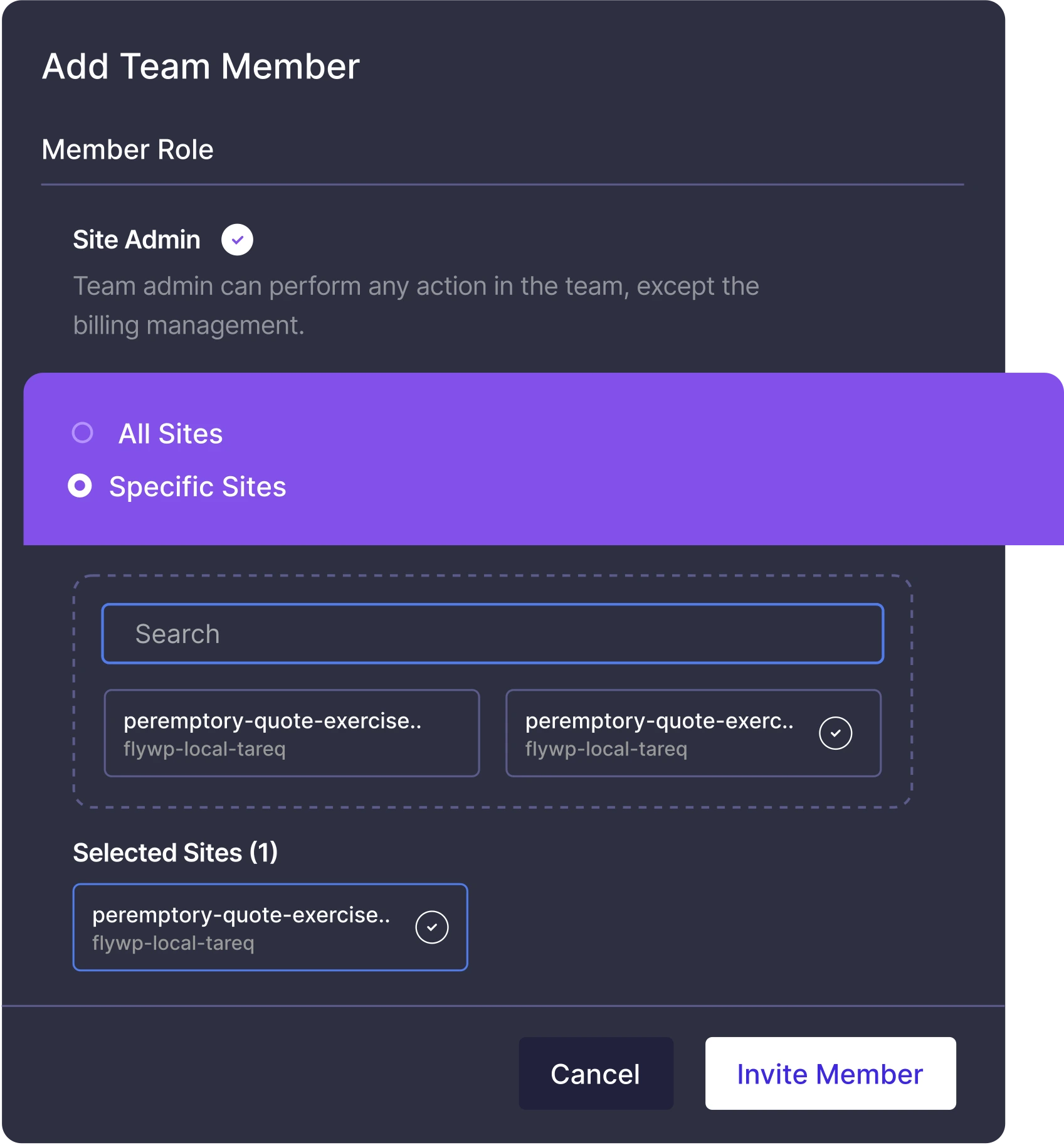 Granular team permission