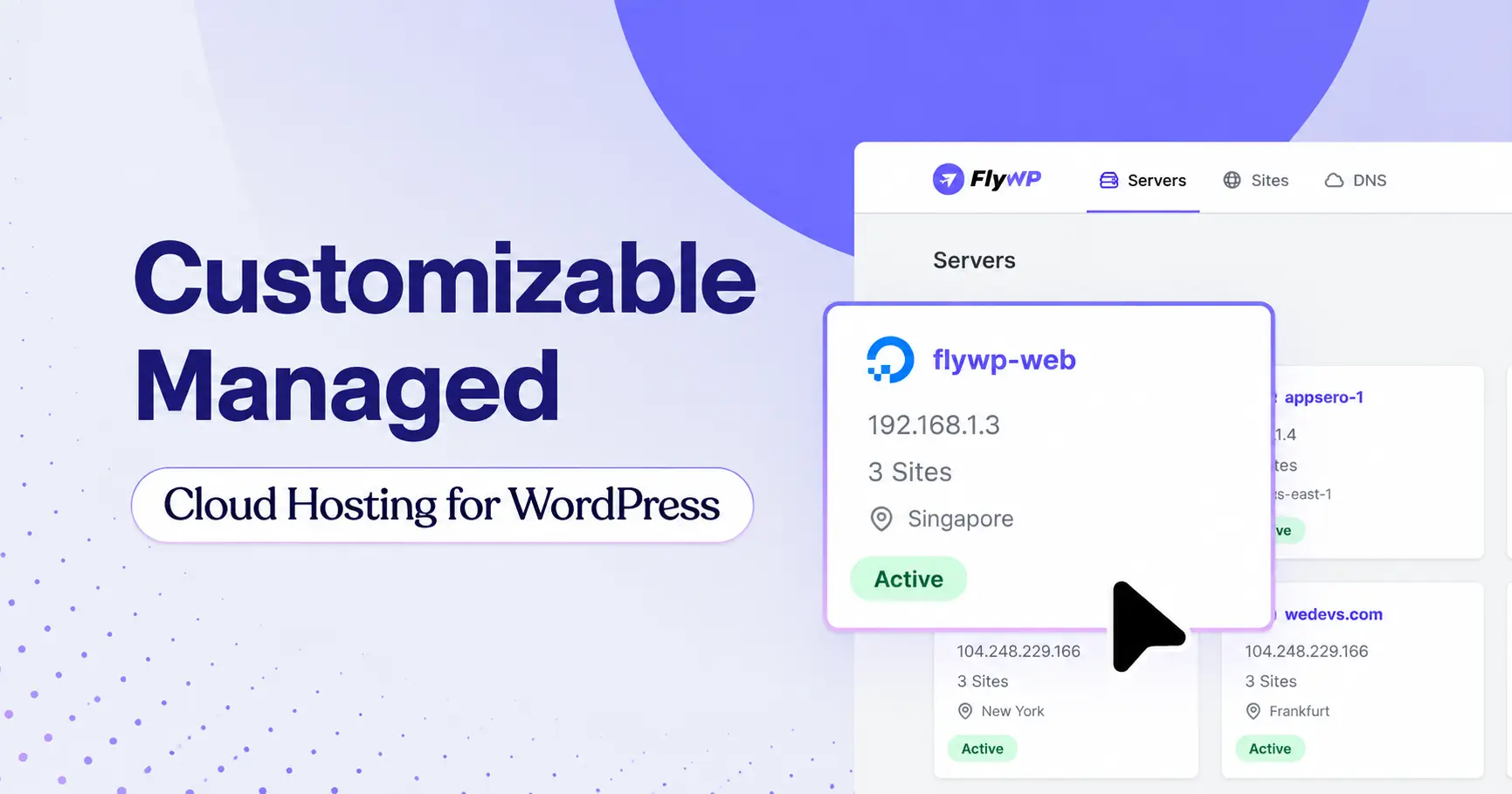 FlyWP — customizable managed cloud hosting for WordPress