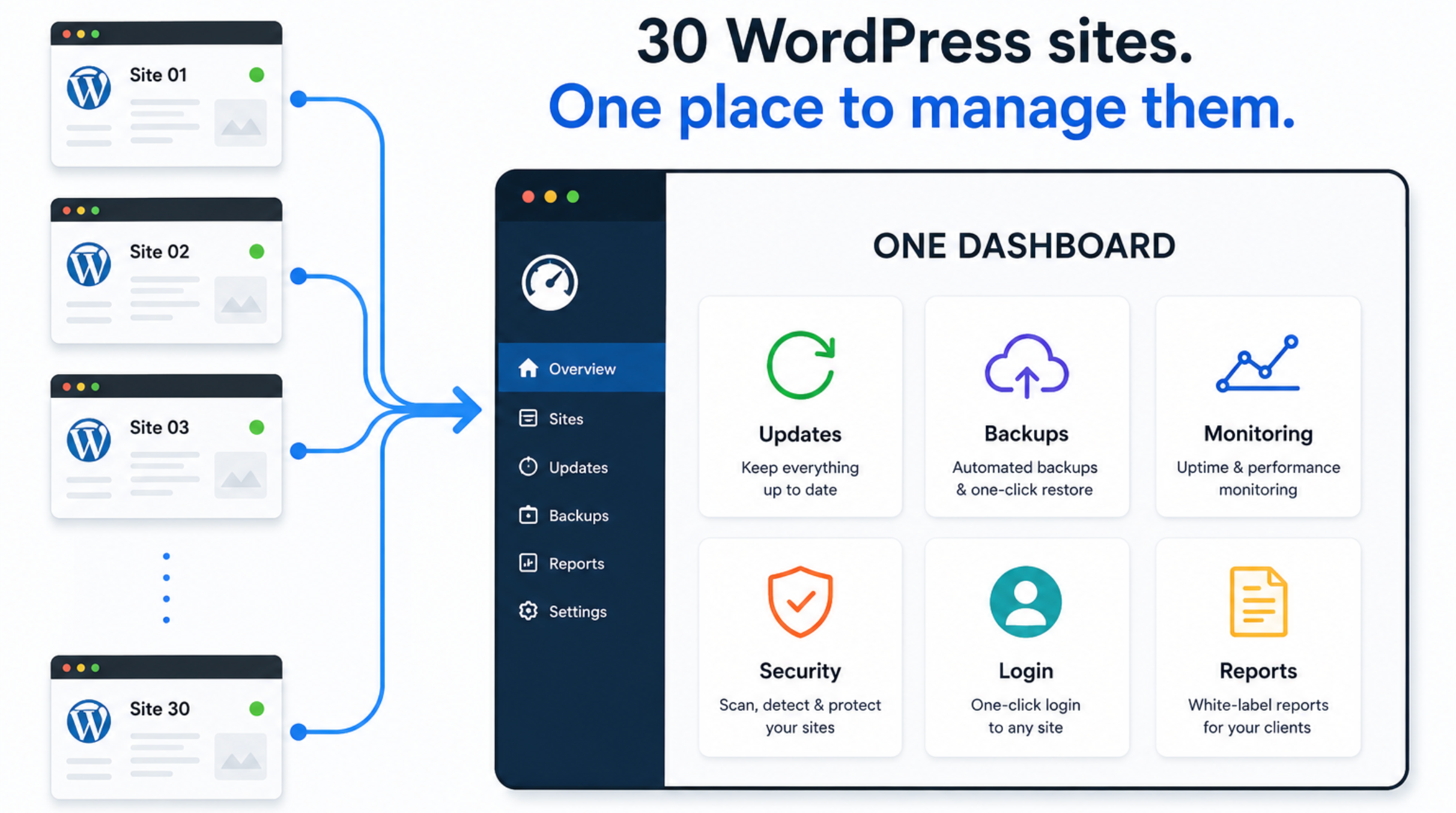 10+ Best WordPress Management Tools 